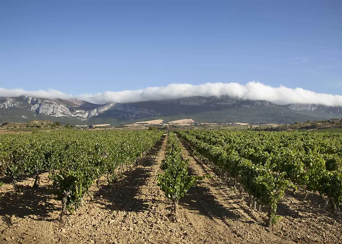 Hotel Eguren Ugarte Laguardia