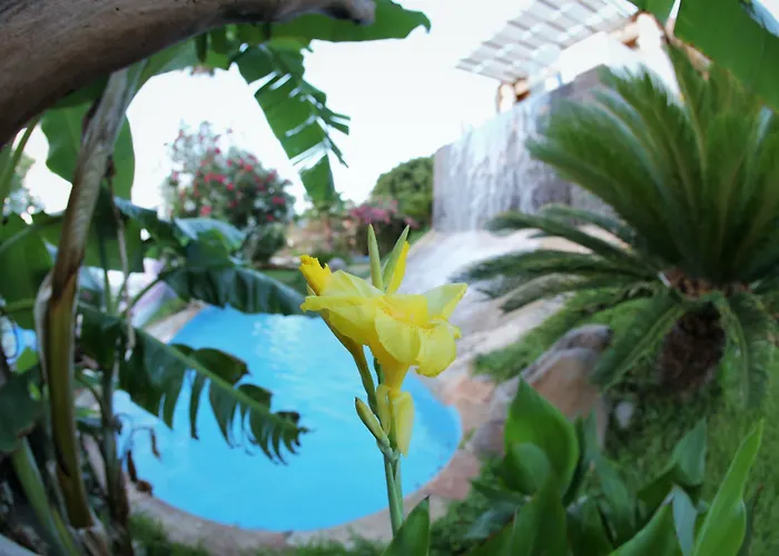 Jhotelresorts Damour