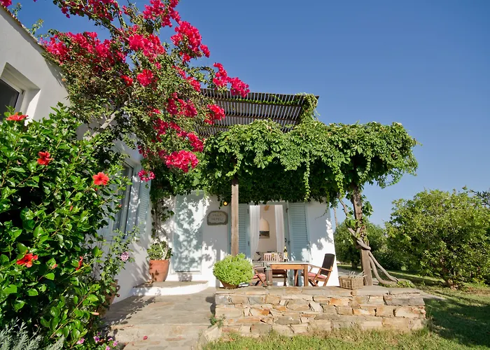 Kavos Hotel Naxos Stelida 