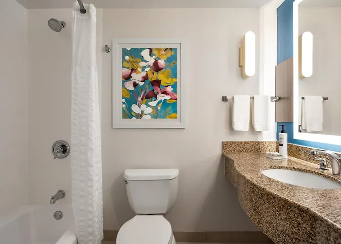 Hilton Garden Inn Fort Myers Airport/Fgcu